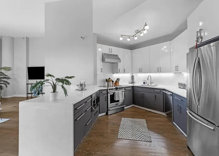 Dtown Penthouse 2bd Parking Gym, Pvt Patio #13 Chicago
